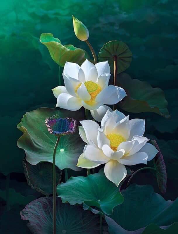 SÁCH HAY ĐỌC SÁCH TÔN GIÁO-TÂM LINH, NHỮNG ĐIỀU CẦN CHÚ Ý