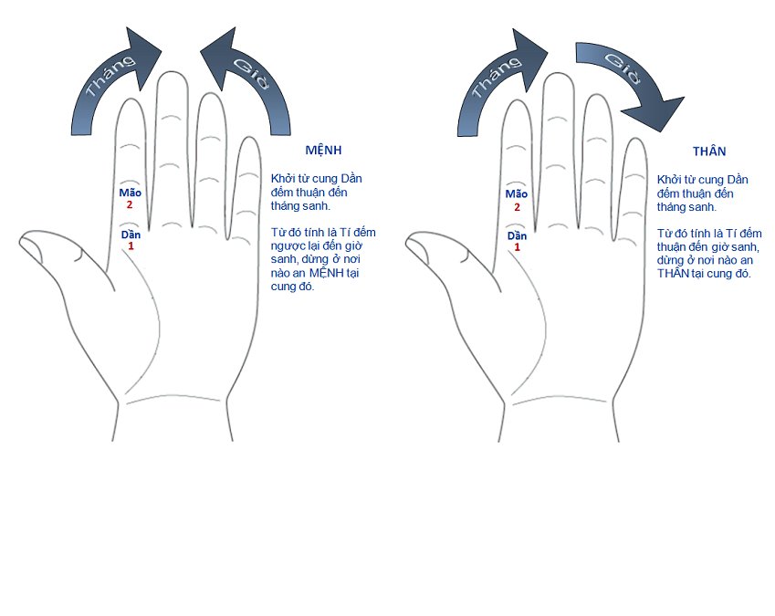 PHƯƠNG PHÁP AN TỬ VI TRÊN BÀN TAY