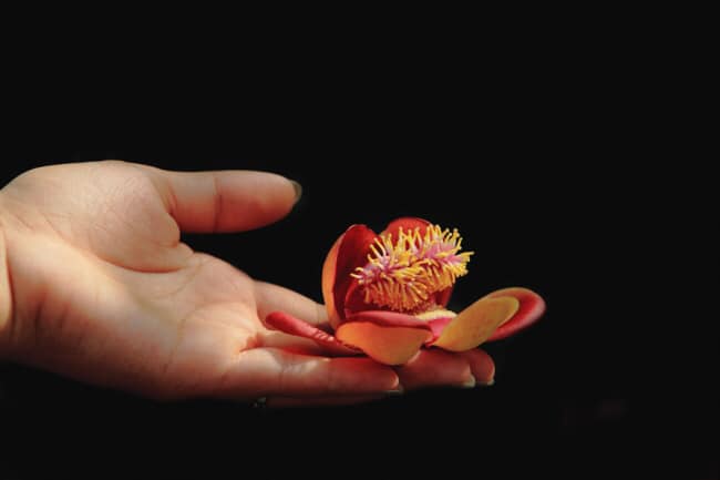 LÒNG ĐỐ KỴ NHƯ HÒN THAN NÓNG, NÉM VÀO NGƯỜI KHÁC NHƯNG CHÍNH MÌNH LẠI BỊ THƯƠNG