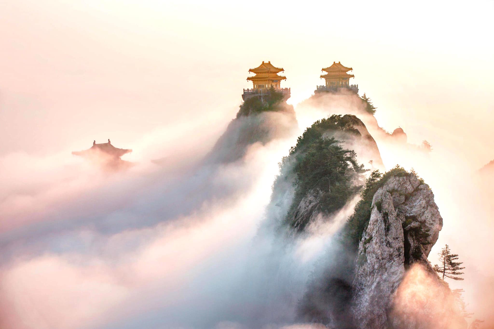 NHÂN GIAN MÊ LẠC, AI TỈNH AI SAY?