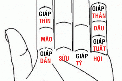 PHÉP TÍNH THẬP – CAN TÍNH THẬP CAN LẤY BÀN TAY TRÁI MÀ TÍNH