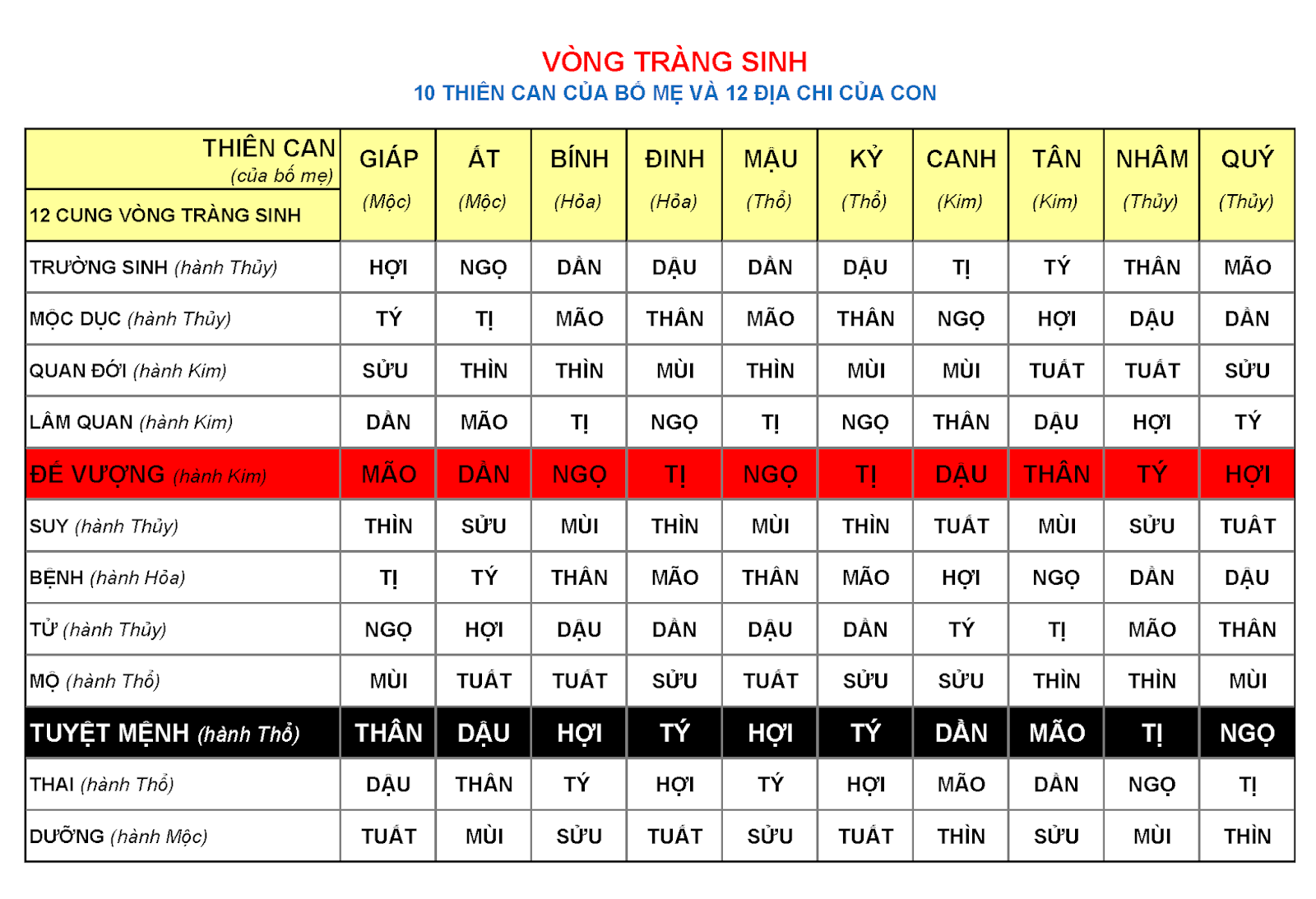VÒNG TRÀNG SINH 1