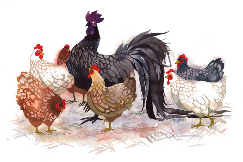 CÚNG ĐẦU NĂM ĐINH DẬU 