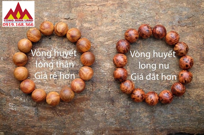 PHÂN BIỆT VÒNG HUYẾT LONG NU VỚI VÒNG HUYẾT LONG THÂN