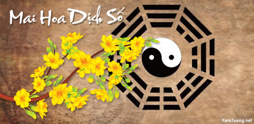 Mai Hoa Dịch số