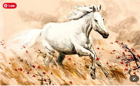 NĂM NGỌ NÓI VỀ NGƯỜI TUỔI NGỰA