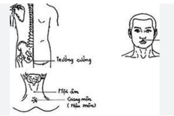 Thần y' của cánh đàn ông chuyên trị những ca 'thượng mã phong'.