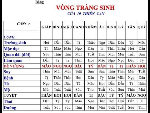 CÁC SAO LÀ THẦN TRONG TỨ TRỤ, BÁT TỰ